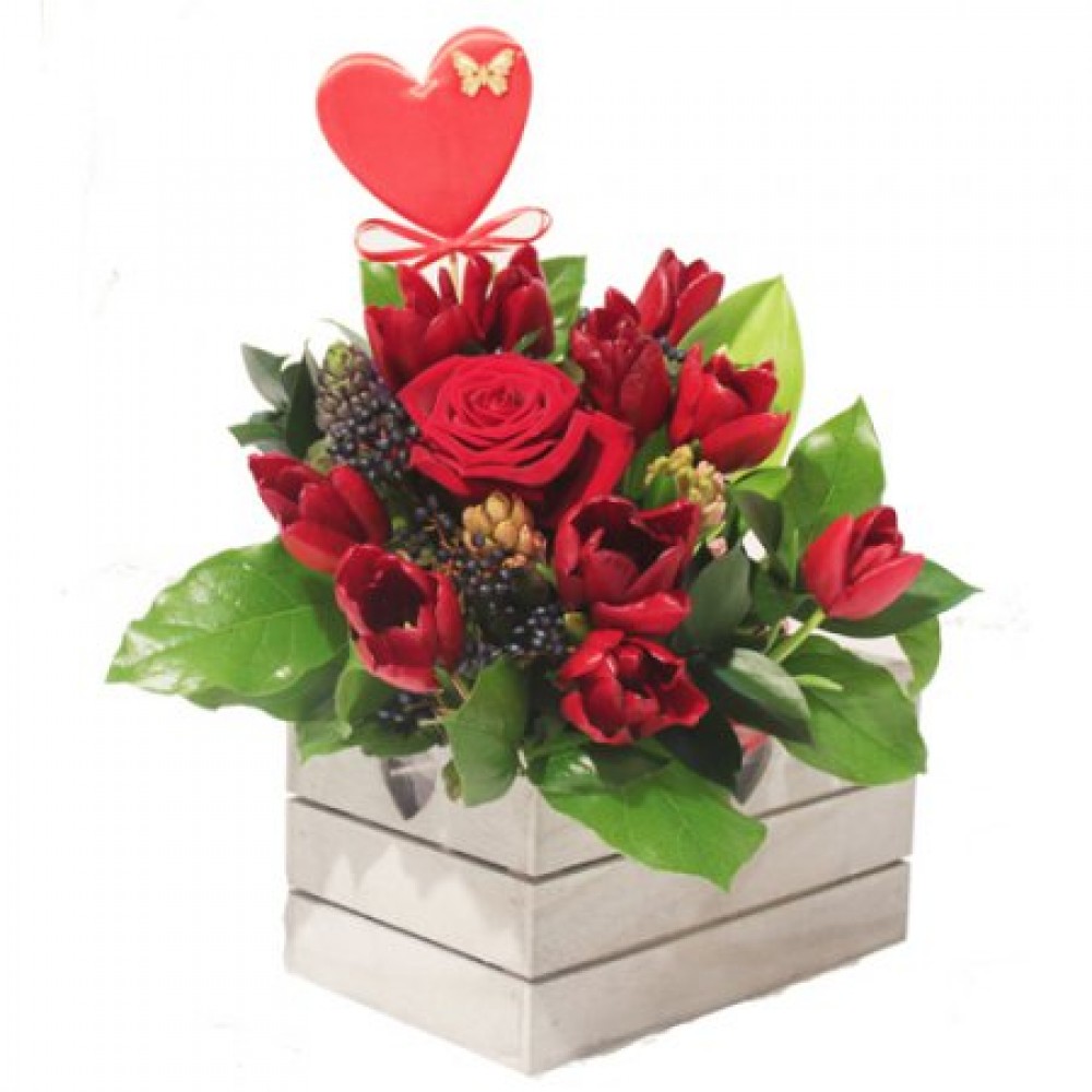 True Love Whiston Flowers